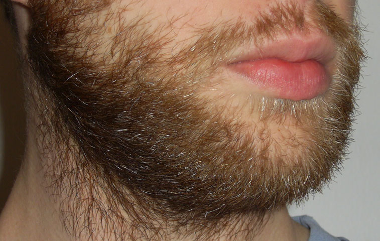 This is what my beard looks like, after it grows for exactly one month.
