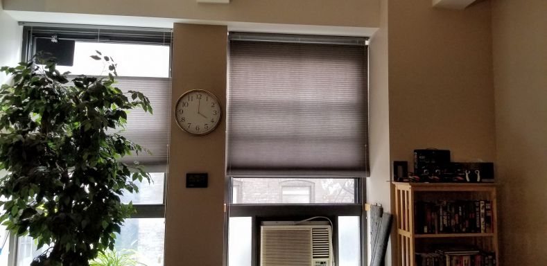 The freshly repaired blinds in my windows.