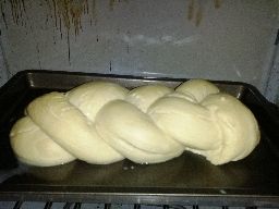 Challah bread, after rising.
